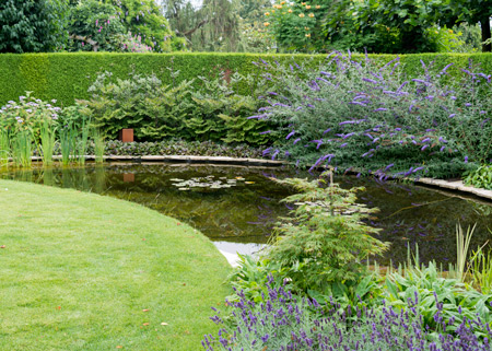 a tranquil garden featuring a curved pond surrounded by lush greenery, blooming flowers, and manicured hedges, ideal for garden enthusiasts